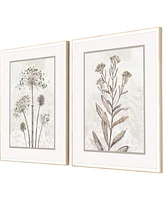 Dried Florals Ii Framed Art, Set of 2