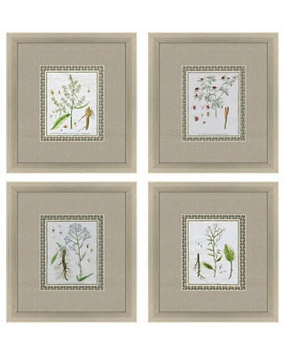 La Passerage I Framed Art, Set of 4