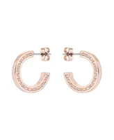 Ted Baker Jewelry Senatta: Crystal Hoop Earrings For Women