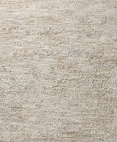Livabliss Masterpiece High-Low Mpc-2318 2'8" x 3'11" Area Rug