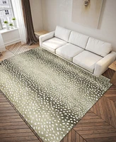 Addison Safari Outdoor Washable ASF33 3' x 5' Area Rug