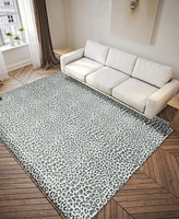 Addison Safari Outdoor Washable ASF32 8' x 10' Area Rug