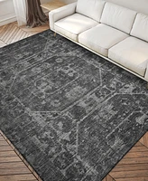 Addison Othello Outdoor Washable AOT32 3' x 5' Area Rug