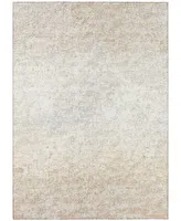 Addison Rylee Outdoor Washable ARY33 8' x 10' Area Rug