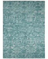 Addison Othello Outdoor Washable AOT31 3' x 5' Area Rug