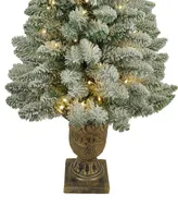 Kurt Adler 4' Pre-lit Warm Led Pine Tree in Urn