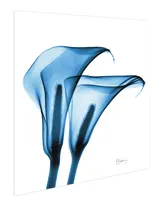 Empire Art Direct "Indigo Calla Lilies" Frameless Free Floating Tempered Glass Panel Graphic Wall Art, 24" x 24" x 0.2"