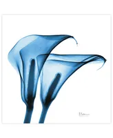 Empire Art Direct "Indigo Calla Lilies" Frameless Free Floating Tempered Glass Panel Graphic Wall Art, 24" x 24" x 0.2"