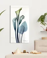 Empire Art Direct "CaLIa LIly" Frameless Free Floating Tempered Glass Panel Graphic Wall Art, 48" x 24" x 0.2"