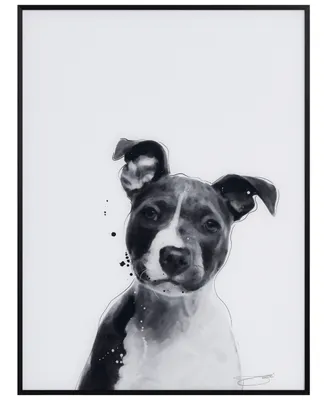 Empire Art Direct "Pitbull" Pet Paintings on Printed Glass Encased with A Black Anodized Frame, 24" x 18" x 1"