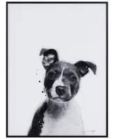 Empire Art Direct "Pitbull" Pet Paintings on Printed Glass Encased with A Black Anodized Frame, 24" x 18" x 1"