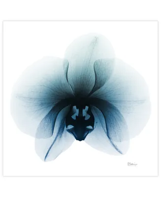 Empire Art Direct "Glacial Orchid" Frameless Free Floating Tempered Glass Panel Graphic Wall Art, 38" x 38" x 0.2"
