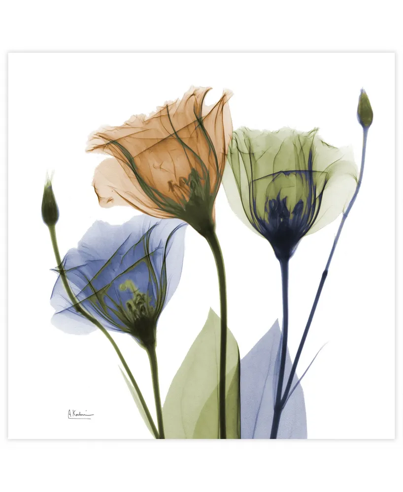 Empire Art Direct "Gentian Buddies" Frameless Free Floating Tempered Glass Panel Graphic Wall Art, 24" x 24" x 0.2" - Multi