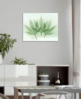 Empire Art Direct "Green Flower" Frameless Free Floating Tempered Glass Panel Graphic Wall Art, 16" x 20" x 0.2"