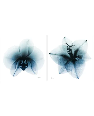 Empire Art Direct Glacial Orchid Amaryllis Frameless Free Floating Tempered Glass Panel Graphic Wall Art, 38" x 38" x 0.2" Each