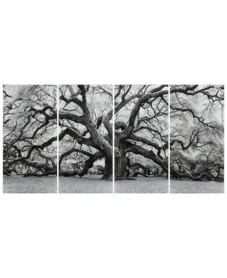 Empire Art Direct "Growth Abcd" Frameless Free Floating Tempered Glass Panel Graphic Wall Art Set of 4, 72" x 36" x 0.2" Each