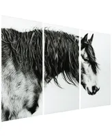 Empire Art Direct "Black and White Horse Portrait Iii Abc" Frameless Free Floating Tempered Glass Panel Graphic Wall Art Set of 3, 72" x 36" x 0.2" ea