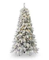 Seasonal Frosted Acadia 6.5' Pre-Lit Flocked Pe Mixed Pvc Full Tree with Metal Stand, 2409 Tips, 300 Changing Led Lights