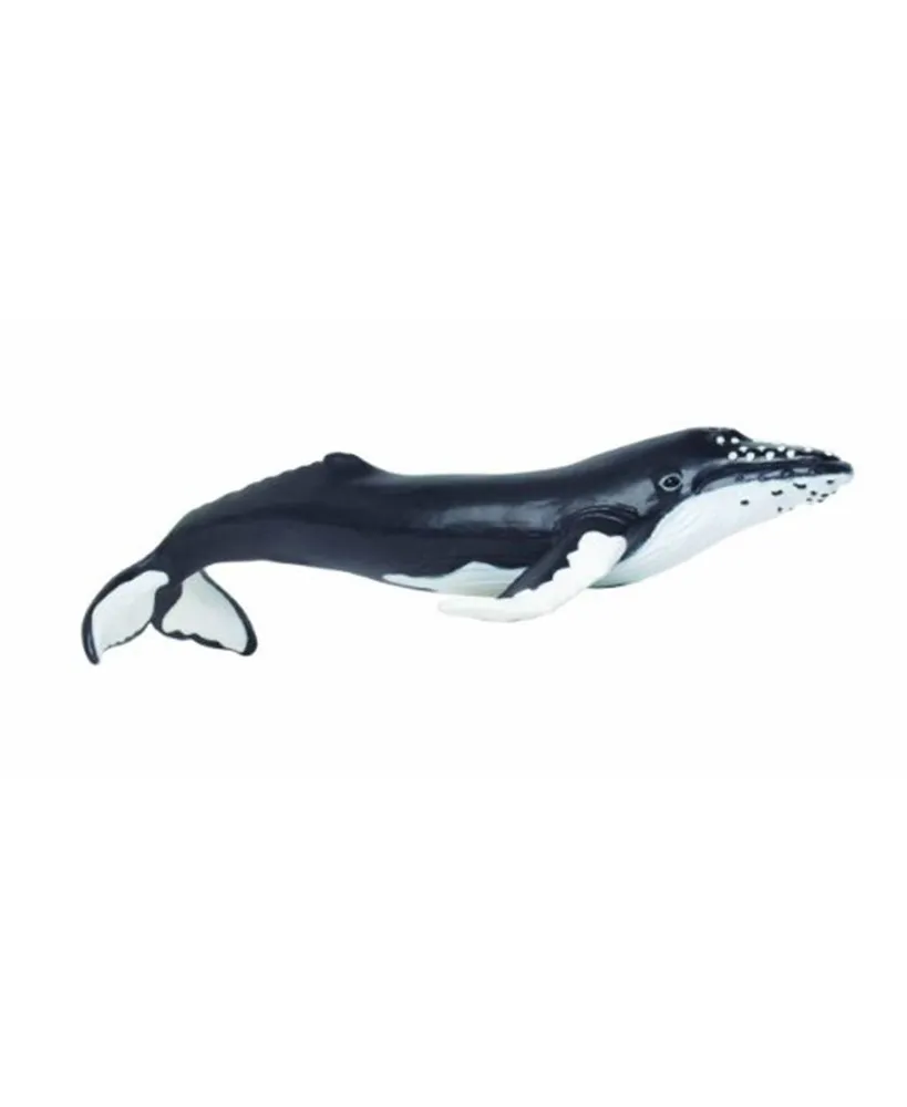 Safari Ltd Humpback Whale Sea Life