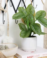 Nearly Natural 12" Artificial Calathea Plant with Decorative Planter