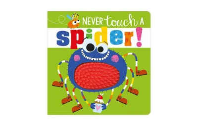 Never Touch a Spider! by Rosie Greening