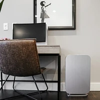 Alen BreatheSmart Flex Air Purifier with Odor, True Hepa Filter for Allergens, Pet, Diaper and other Unwanted Odors - 700 SqFt