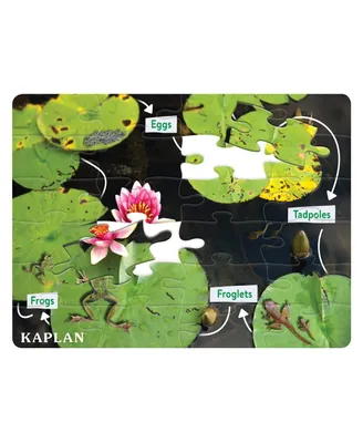Kaplan Early Learning Stem Learning Frog Life Cycle Floor Puzzle from Egg to Frog - 24 Pieces