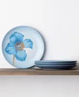 Noritake Colorwave Floral Accent Plates, Set of 4