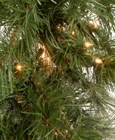 National Tree Company 9' x 10" Wispy Willow Garland with 50 Clear Lights