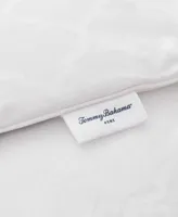 Tommy Bahama Home Get Cozy Toss Turn Comforters