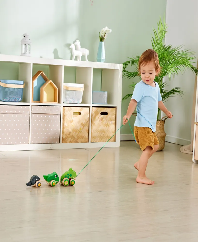 Hape Pull-Along Frog Family Toddler Toy