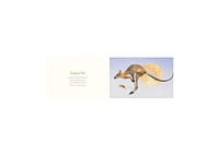 You Stole My Name- The Curious Case of Animals with Shared Names (Picture Book) by Dennis McGregor