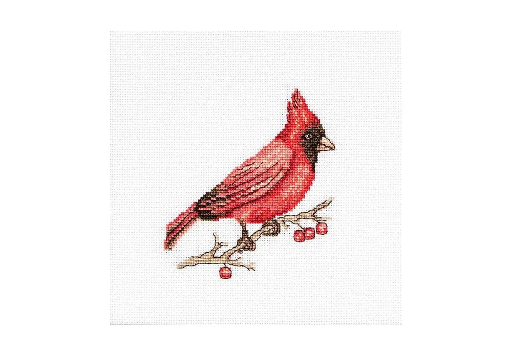 Ladybird B062L Counted Cross-Stitch Kit