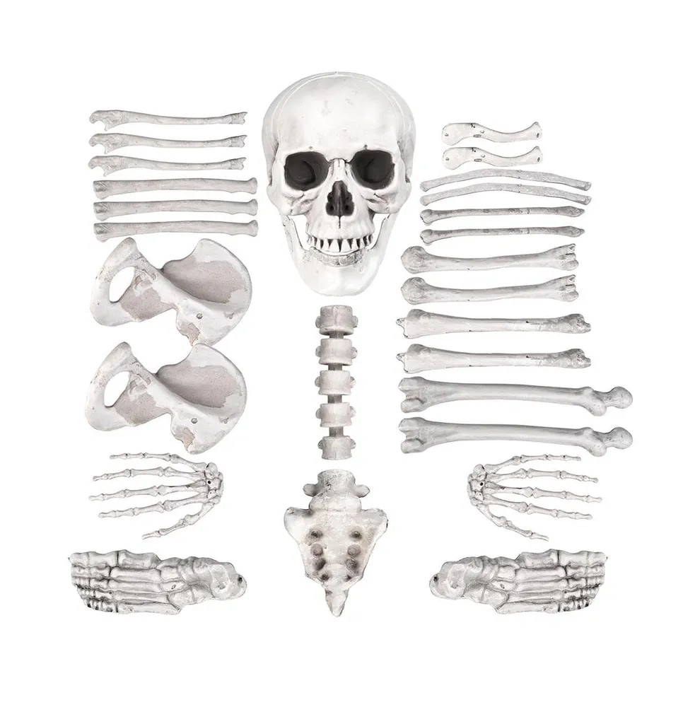 Bag of Skeleton Bones Skull 28pcs Set Props Horror Halloween Party Decoration