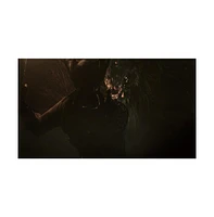 Bloodborne Game of the Year Edition (Pegi)