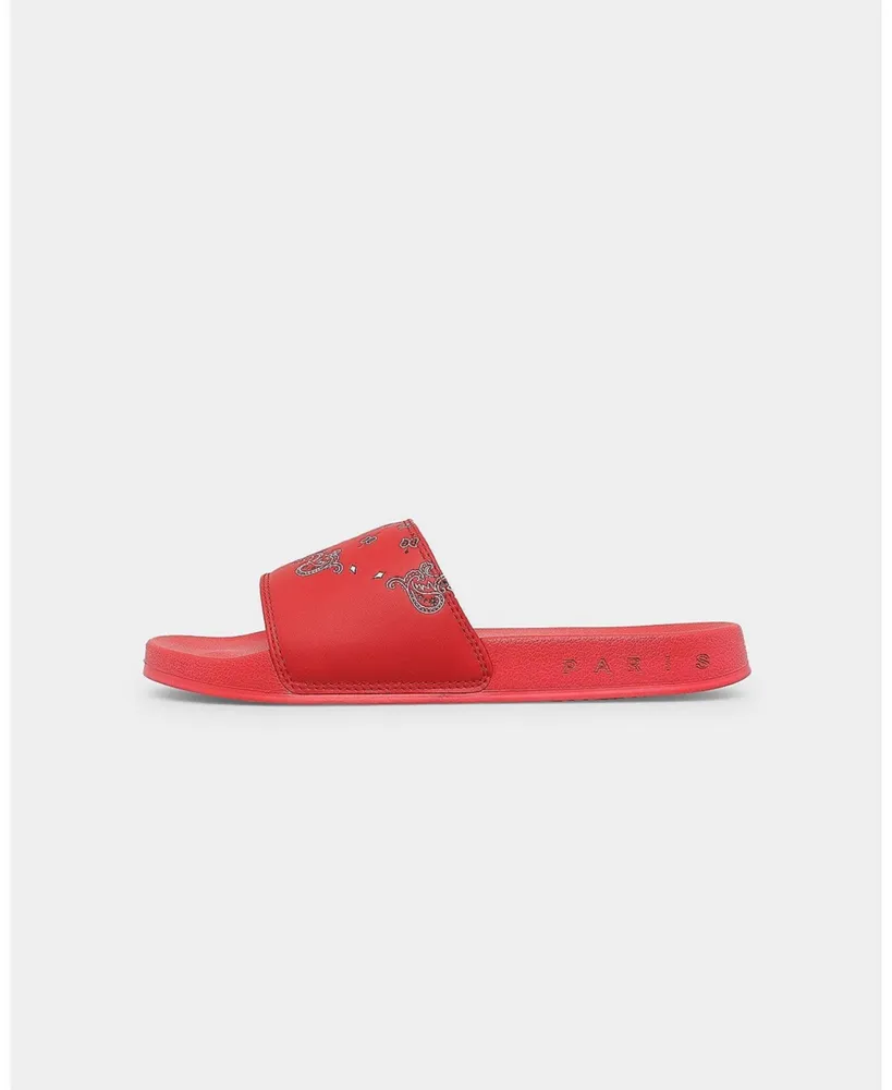 Carre Mens Raphael Slides