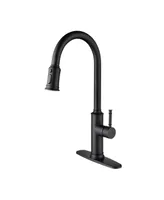 Simplie Fun Kitchen Faucet With Pull Out Sprayer