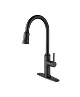 Streamdale Furniture Kitchen Faucet With Pull Out Sprayer