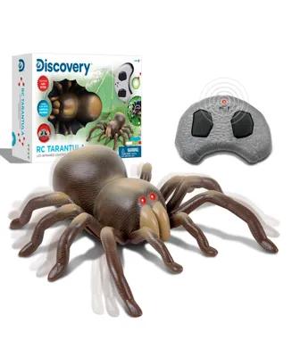 Discovery Kids Remote Control Moving Tarantula Spider Toy