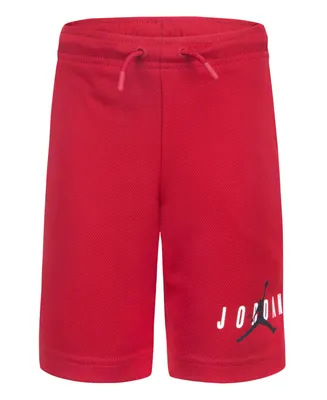 Jordan Little Boys Essentials Graphic Mesh Shorts