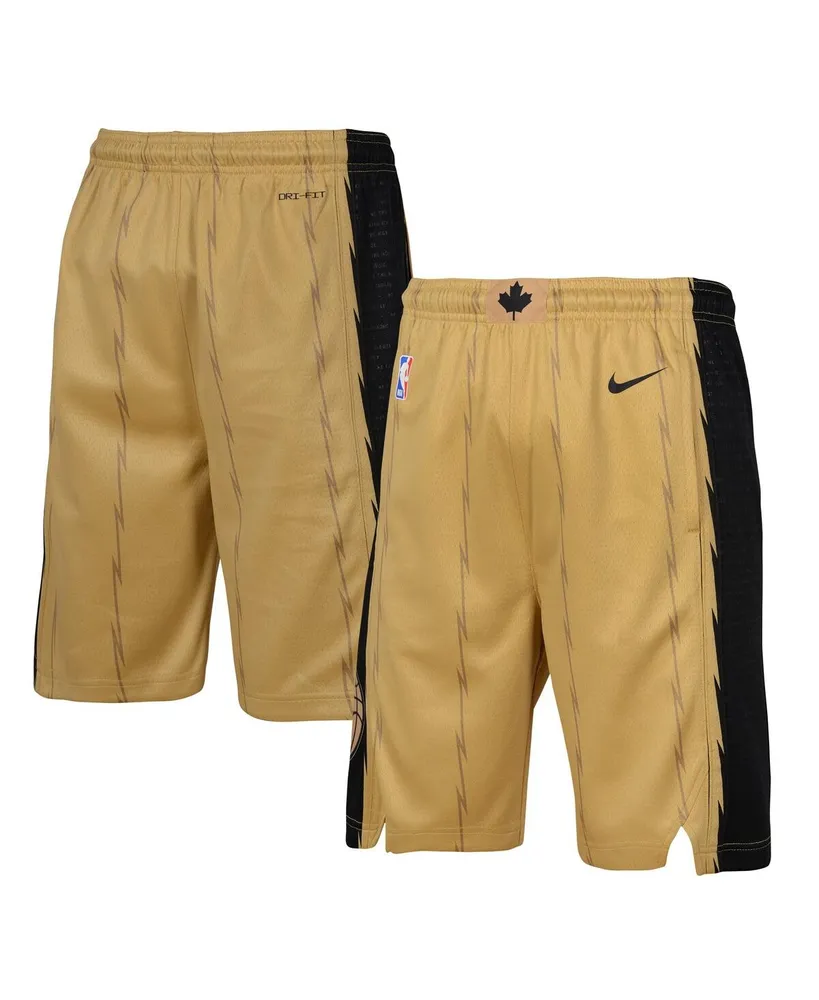 Big Boys Nike Gold Toronto Raptors 2023/24 City Edition Swingman Performance Shorts