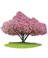 Madd Capp Games I am Cherry Blossom Puzzle