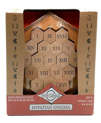 True Genius Hypatian Enigma Wooden Puzzle