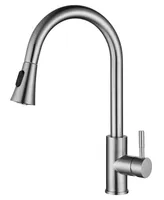 Single Handle High Arc Brushed Nickel Pull Out Kitchen Faucet with Pull Down Sprayer