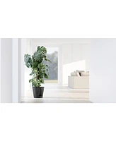 Eco pots Venice Indoor and Outdoor Planter with Water Reservoir, 12in