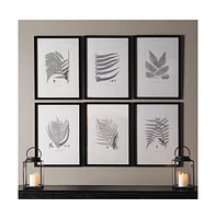 Framed Gray-Tone Fern Prints, Set Of 6