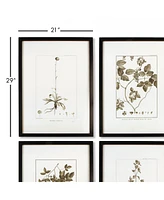 Framed Sepia-Tone Botanical Prints, Set Of 4