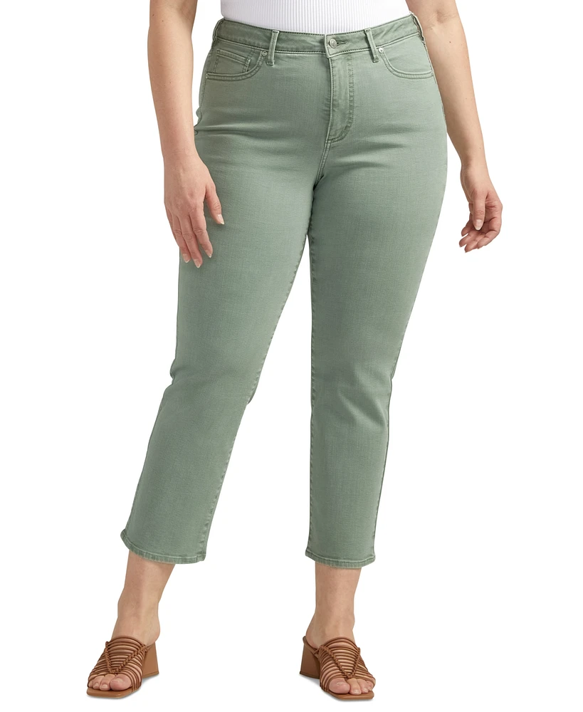 Silver Jeans Co. Plus Size Isbister Straight-Leg Jeans