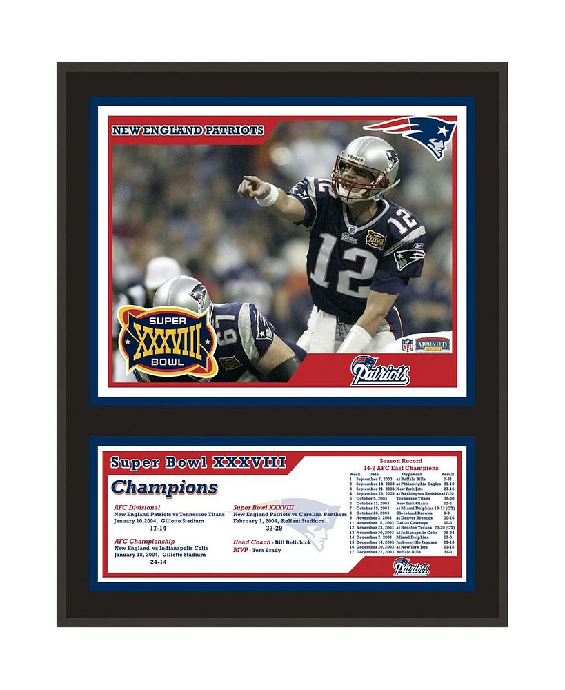 New England Patriots Super Bowl Xxxviii 12'' x 15'' Sublimated Plaque