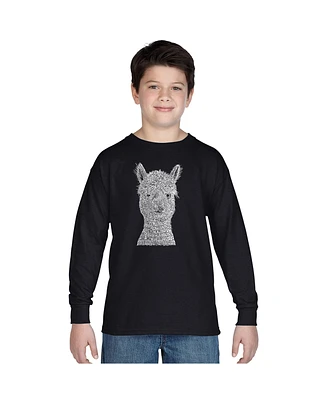 Boy's Word Art Long Sleeve tshirt - Alpaca